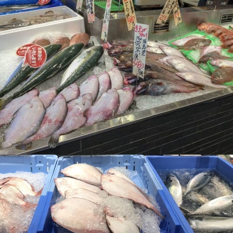 和膳料理すし楓の料理|横浜市鶴見区鶴見中央|東横INN横浜鶴見駅東口前